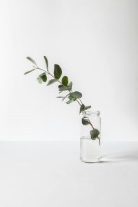 Tips for an Eco-Conscious Lifestyle
